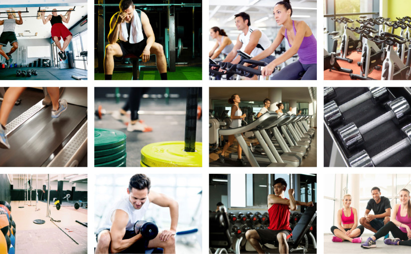 Gym Traffic and Usage