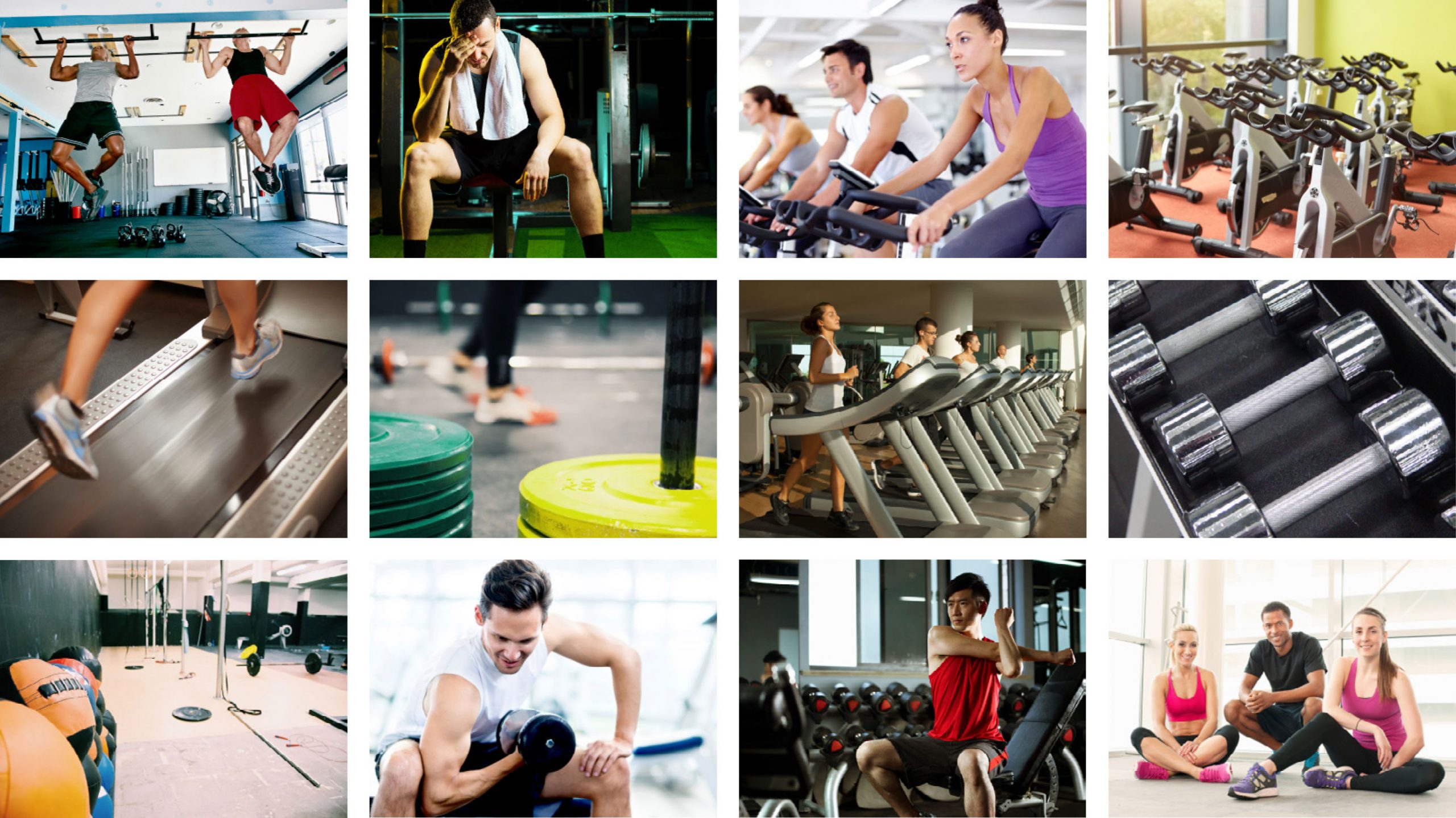 Gym Traffic and Usage